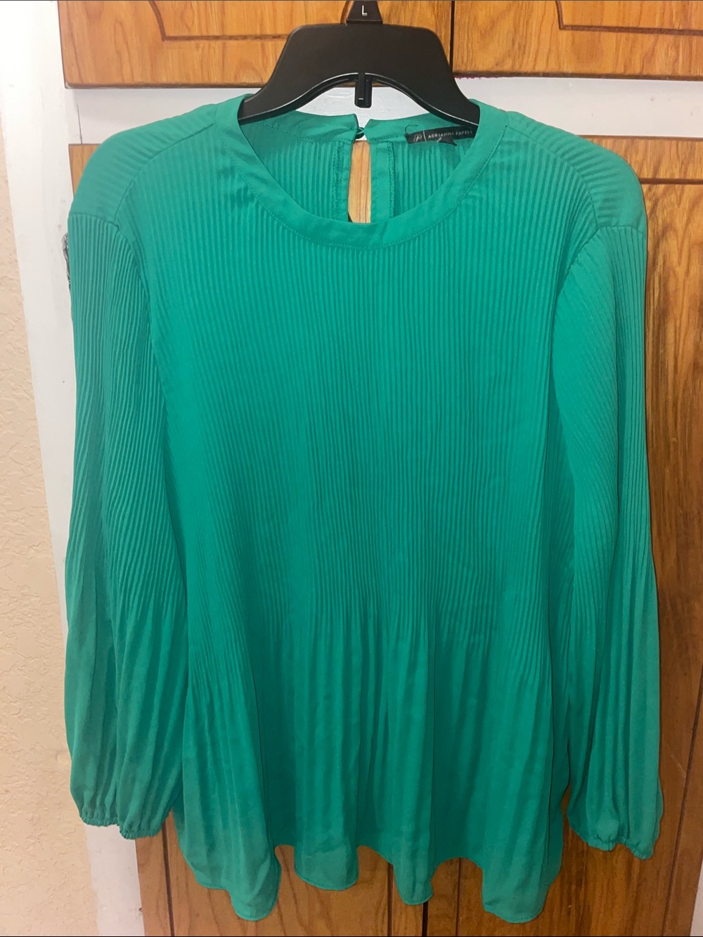 Adrianna Papell Emerald Pleated Long-Sleeve Blouse